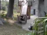 Sapık Pandalar :))