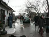 gölbaşı barınağı