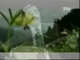 50 sene gıdemedim KÖYÜME