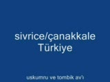 www.balikustasiyiz.biz uskumru ve tombik av’ımız