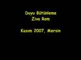 Ziva-Duyusal Bütünleme
