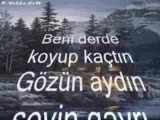 sevin gayri
