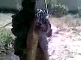 14 Kg Lık Sazan (Dikmen Köyü)