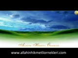 allah'ın hikmetli örnekleri