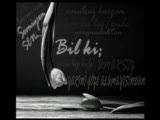 Miss Ebruli Ft. Djkaptan Sevmiyorum Artık 2010 (Ye