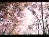 fikret kuşkan-zuhal olcay-gizli yüz filmi
