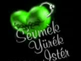 Damar Rep