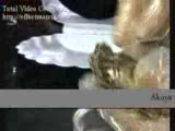 istiridyenin açılışı canlı