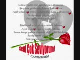 Numan ,hadi ,sevin Gayri