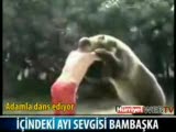 ayıyla güreşen adam :))