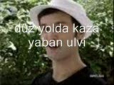 geniş aile ulvi
