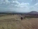 Orakla Ekin İşleme