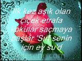 çiçek ve su