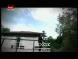 Sait Uçar - Çınar