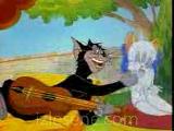 Kedi Aşkını Haykırıyo