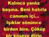 sevgi