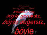Canimsin Sibel Can Gulum