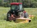 Mccormıck,laverda