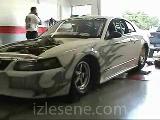 mustang bu sese kulak verin