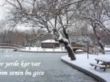 Her Yerde Kar Var