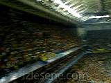 Fb-İnter Tribün Show