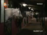 Doludizgin Yıllar-Uçurumlar