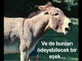 kadını mutlu eden 4 hayvan :))