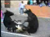 İspanya da arena bogalarının carpıstıgı an xd