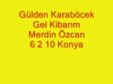 gülden karaböcek & gel kibarım 6 2 10 merdin