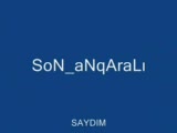 Ahmet Yılmaz - Saydım