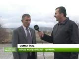 Mog Organik Gübre