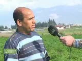 Mog Organik Gübre