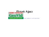 soğuk havalarda kuşlar için ekmek ağacı yapın