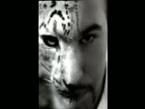 Tigerrr
