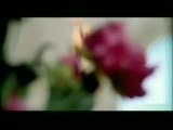 Yıldız Tilbe- Gül Zamanı