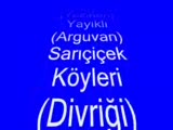 dırejan aşireti tarihçesi