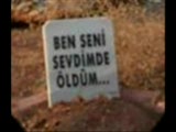 Vijdan,arıkan,berkant