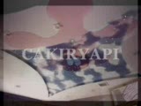 alcipan