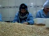 kozak yaylası