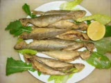 Marmaris Orhaniye Köyü