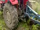 Massey Ferguson 260 G