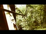 ağasarlı gülveren - kelebek