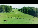 giresun karşılaması