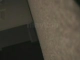 kedi robota anlam veremeyince tokatladı :))