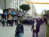 turunçgil festivali
