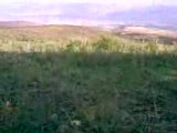 Gemtepe