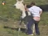 eşşegin intikamı...