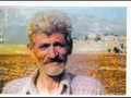 Koramşalı Dan Kareler