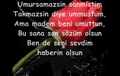 Serserim Ve Güzelim