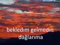 Sakın Gelme